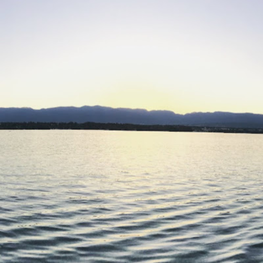 Meet your Posher, George